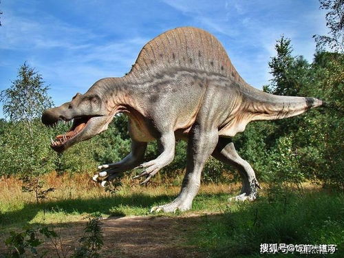 和恐龙最相关的5个问题 如何估算恐龙体重 恐龙真的五颜六色