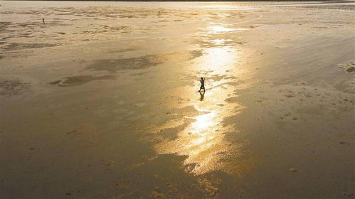 云赶海 成功出圈搅动海南旅游新热潮 走 赶海去