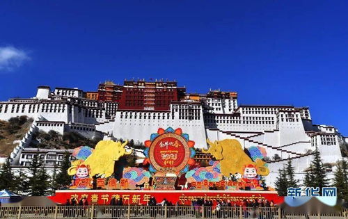 农历春节与藏历新年同一天 拉萨迎接 双新年