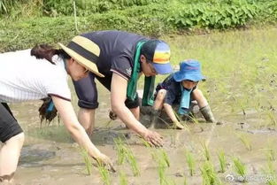 妈妈,我可以在泥坑里跳来跳去吗 我们的反应将影响孩子一生