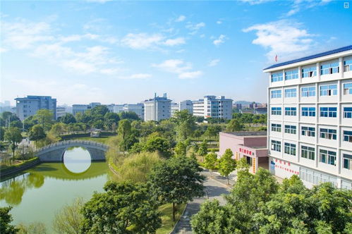 广东创新科技职业学,广东创新科技职业学院是公办还是民办