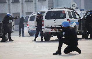 中国维和警察电视剧,中国维和警察电视剧观看