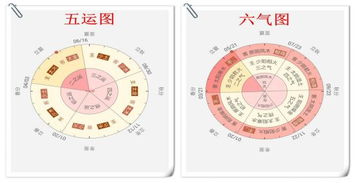 二十四节气之小满养生