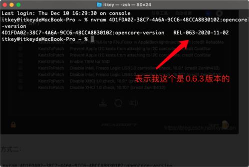 查看opencore版本