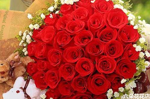 红玫瑰的花语是,红玫瑰花语