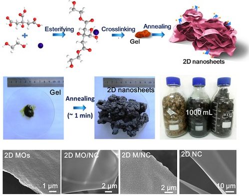 材料学院周薇薇课题组在国际顶级期刊 Advanced Materials 发表论文 