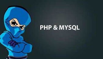 php和html先学哪个,php和html哪个好学