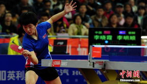 乒乓球亚洲杯2017女单,2017年乒乓球亚锦标赛女单冠军是谁
