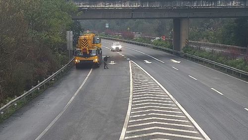 视频 停车 倒车 拦车问路 司机在高速路上这波 神操作 太惊险