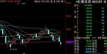 石基信息（股票）公司是做什么的？