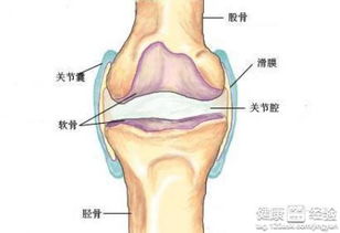 跨阈步态的原因,跨阈步态怎么引起的