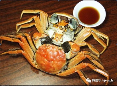 金秋螃蟹 美味持续 