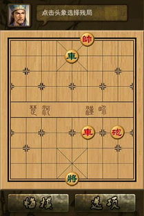 国际象棋大师11下载