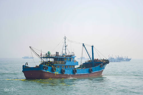 休渔期结束,又是一年开渔季,福建人的海鲜又要回来了