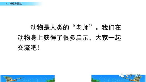 《蝙蝠和雷达》词语解释  蝙蝠和雷达的七八段的比喻句？