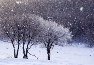 日本描写雪的古诗词