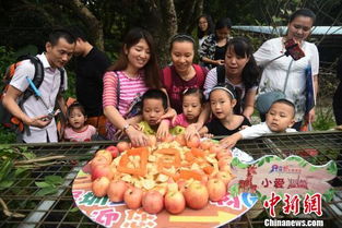 深圳野生动物园为小长颈鹿举办 520 生日庆祝会 组图 