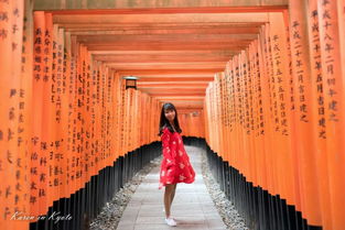 京都大阪红叶季全攻略 梦回京阪,待你披上红色嫁衣