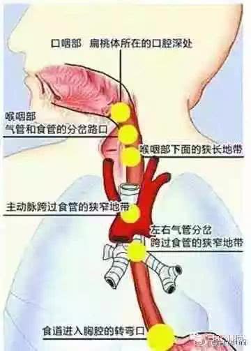 详情页 杭州市第一人民医院 