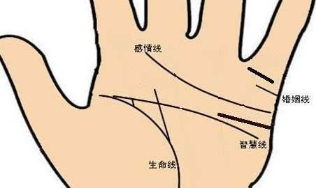 财运看手 有钱人的手相特征,这五条线主大富