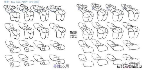 小白在刚进入绘画学习过程有什么要注意的