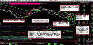 年报公布的前一天买进该只股票，还给分红吗