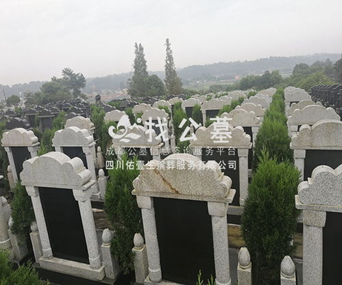成都市锦江区附近有哪些公墓在哪里 