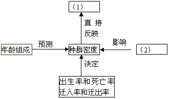 种群具哪些的特征 及它们之间关系如何 完成知识图