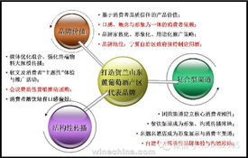 企业营销能力包括哪些方面