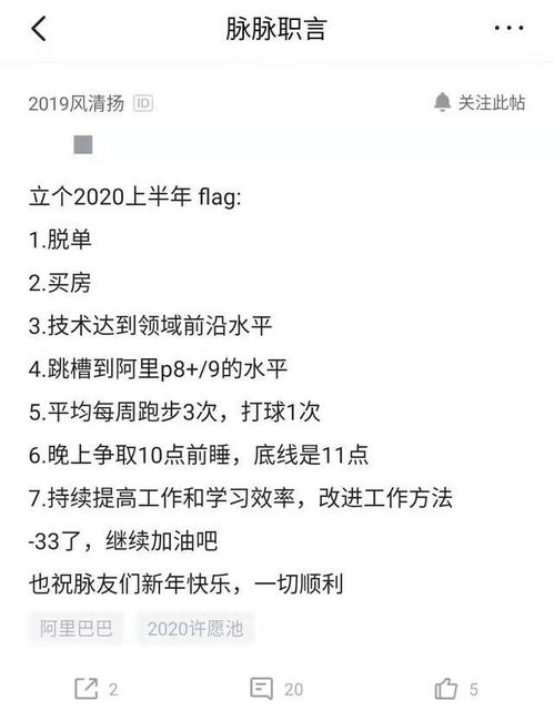 立flag就是为了打脸 2020年的flag,将逃过 真香定律