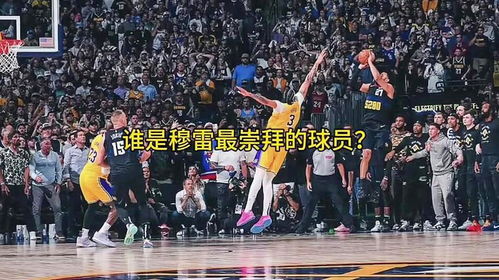 nba掘金球员名单穆雷是谁〖贾马尔 穆雷的选秀模板是谁〗