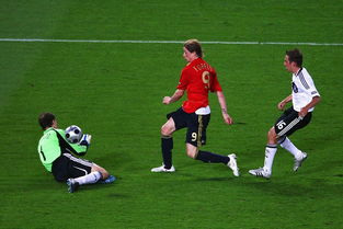 2008欧洲杯冠军,欧洲杯2008冠军：西班牙夺魁