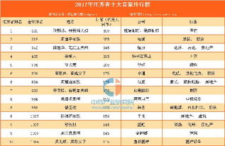 2017年江苏省十大富豪排行榜 