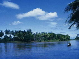 湄公河:一条流淌着历史、文化、经济和环保责任的河流