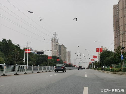 湖北武汉蔡甸大集街道天气预报