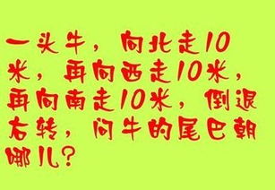 成人的脑筋急转弯题目（成人的脑筋急转弯问题） 第1张