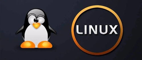 java开发linux常用命令,java中如何执行linux命令