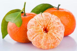 砂糖橘长什么样,砂糖橘，的外形有什么特点？