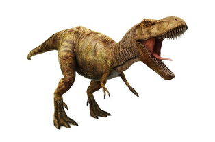 什么恐龙比霸王龙厉害, megaloscus