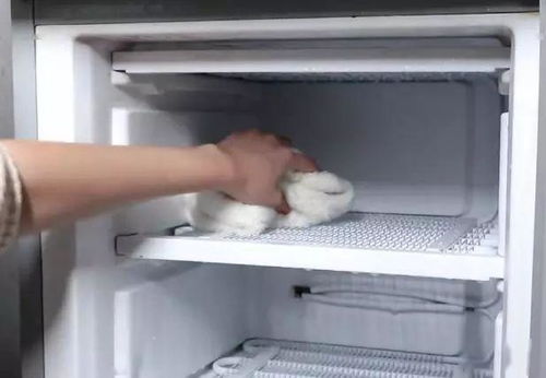 冰箱里再厚的冰霜,只需放一碗它进去,10分钟冰霜自动掉下来