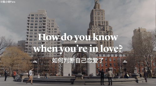 坠入 纽约街头访问 如何判断自己恋爱了 