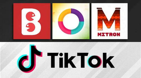 什么是TikTok For Business它有哪些功能_tiktok教学教程