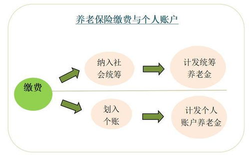 养老保险个人缴费比例是多少 (养老保险费单位与个人比例)