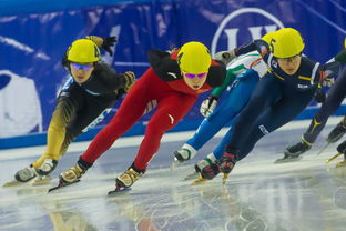 短道速滑比赛视频,哪里有2010冬奥会短道速滑女子3000米接力决赛视频？