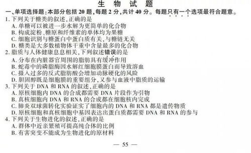 考试试卷查重：为何准确性至关重要？