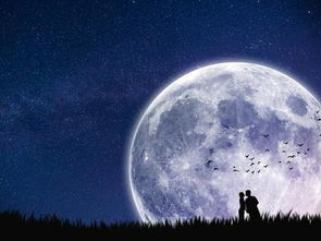 阿兰欧肯月亮专题 月亮的特质 组图 占星 阿兰欧肯 月亮 新浪星座 新浪网 