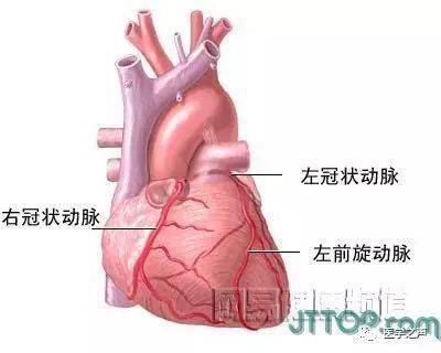 做了心脏搭桥手术能活多久需要注意什么(做完心脏搭桥的人一般寿命是多少年)