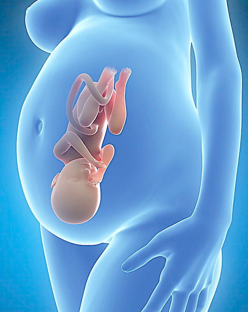 原创有这三种开心的表现，说明胎儿正在健康发育呢，妈妈一定要知道！