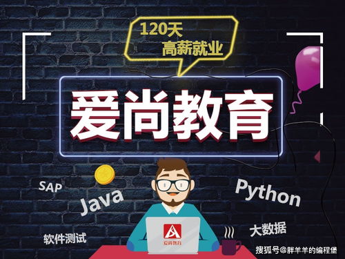 零基础学java软件开发工程师,零基础变身Java软件开发工程师：掌握未来科技，开启人生新篇章