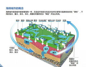 海绵城市需要做哪些资料，绿化海绵城市做法